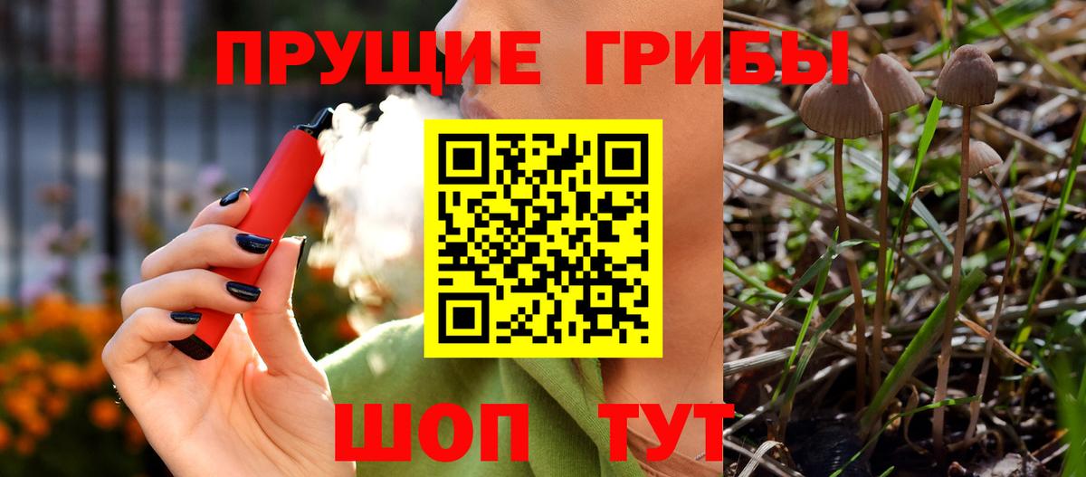 Псилоцибиновые грибы Cubensis Армавир